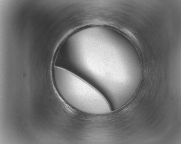X0000073841183200608101019