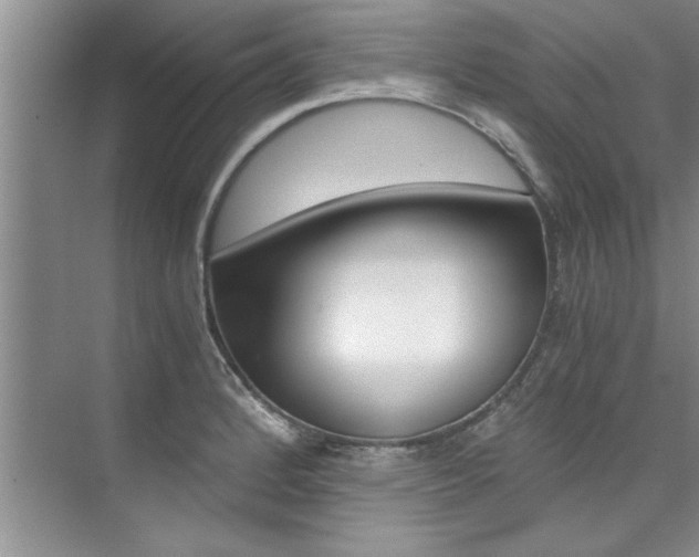 X0000073841184200608101019