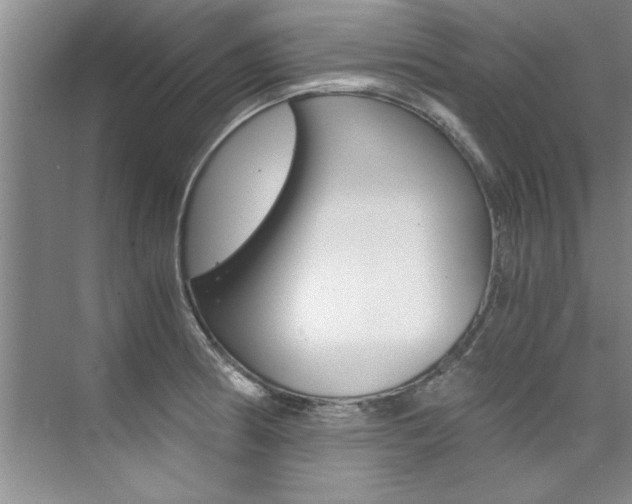 X0000073841186200608101019