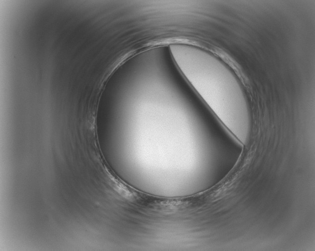 X0000073841193200608101019