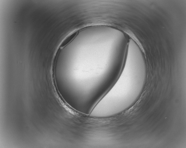 X0000073841197200608101019