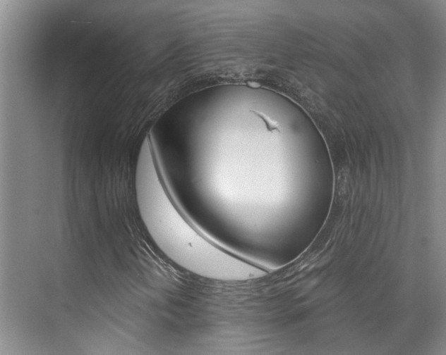 X0000073841202200608101018