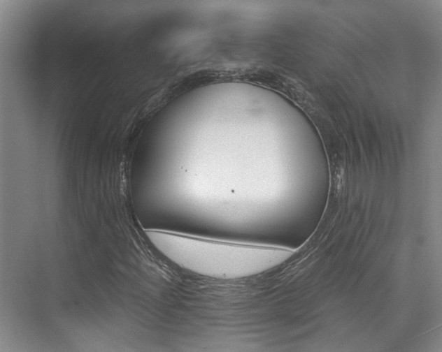 X0000073841204200608101018