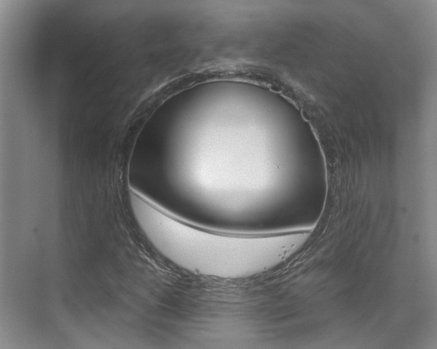 X0000073841206200608101018