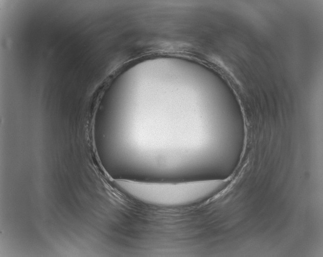 X0000073841211200608101018
