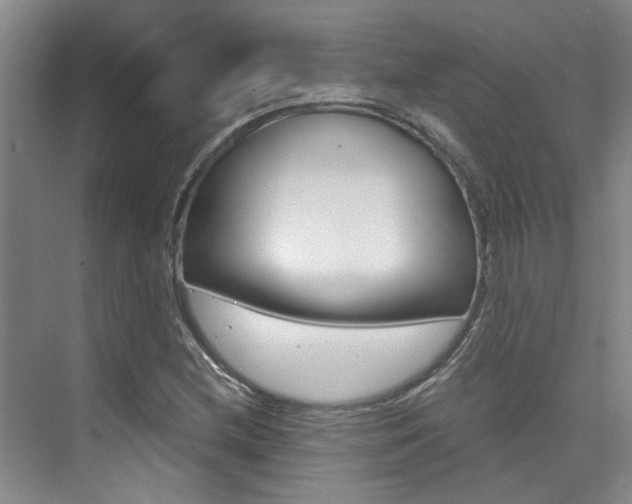 X0000073841212200608101018
