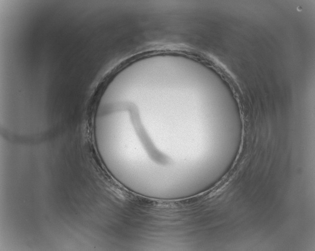 X0000073841215200608101018