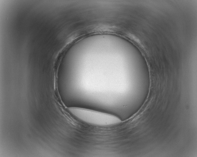 X0000073841219200608101018