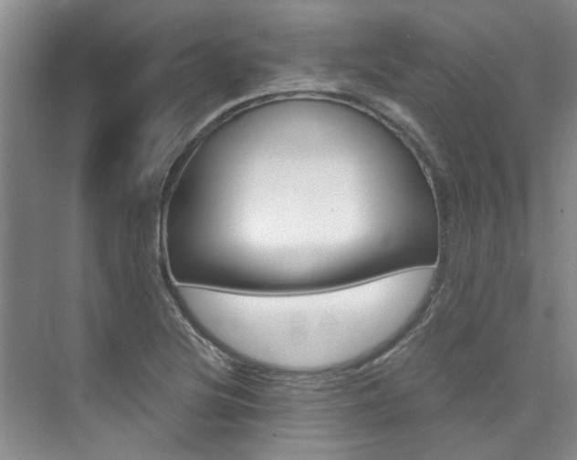 X0000073841220200608101019