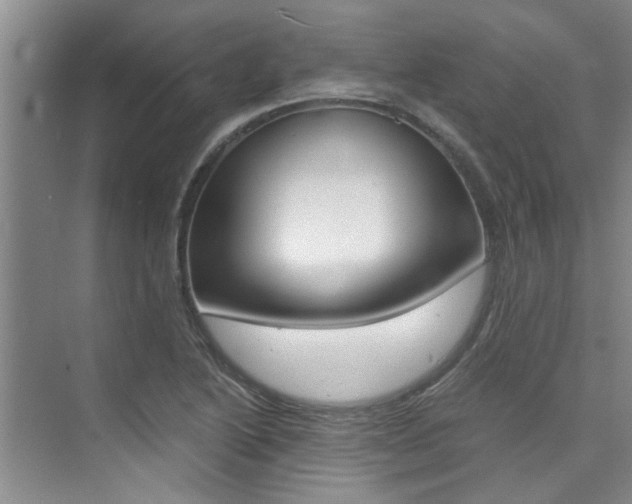 X0000073841222200608101019