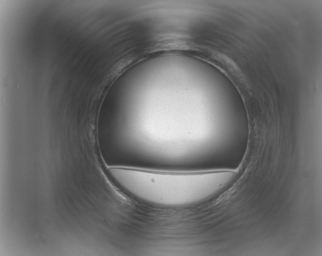 X0000073841225200608101019