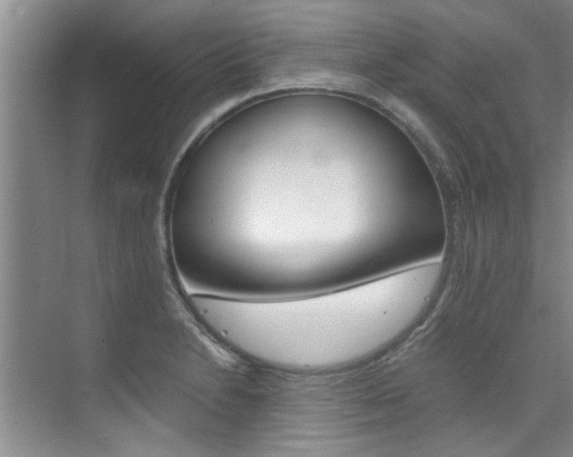 X0000073841230200608101019