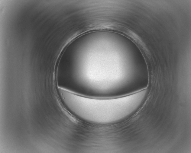 X0000073841234200608101019
