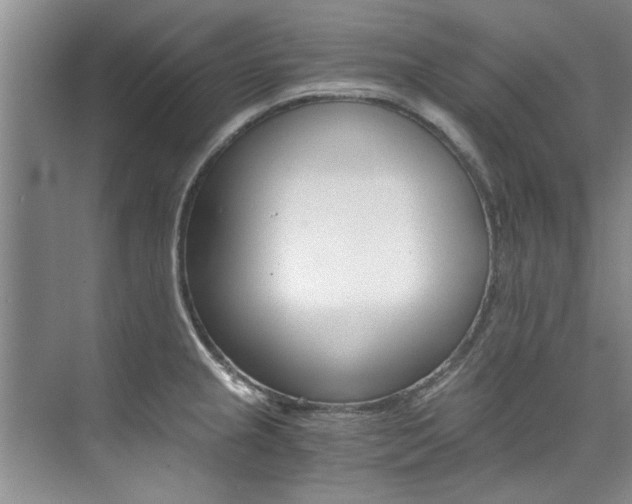 X0000073841237200608101019