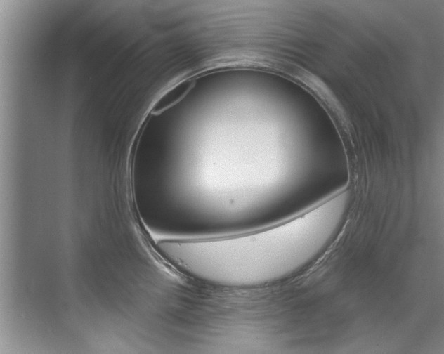 X0000073841242200608101019