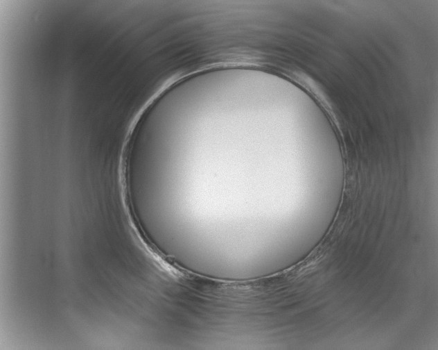 X0000073841243200608101019