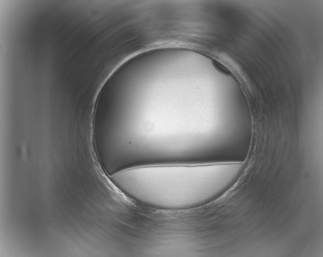 X0000073841244200608101019