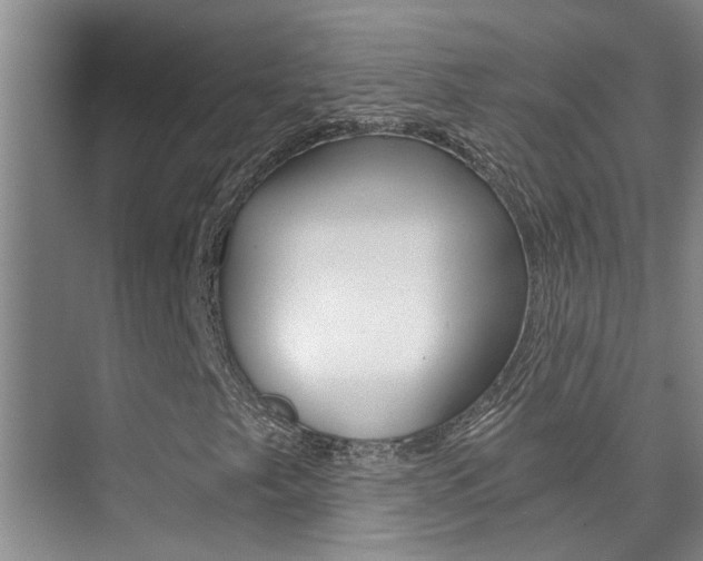 X0000073841249200608101018