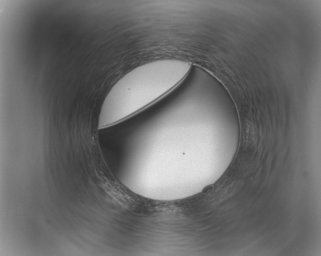 X0000073841250200608101018