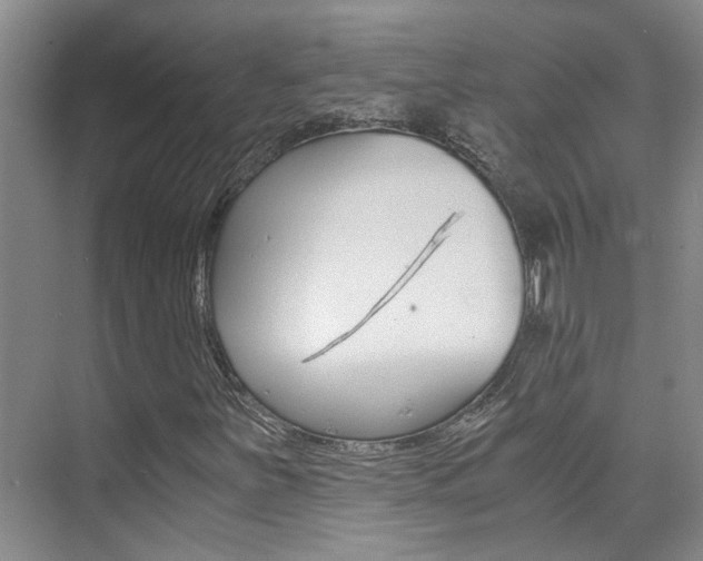X0000073841251200608101018