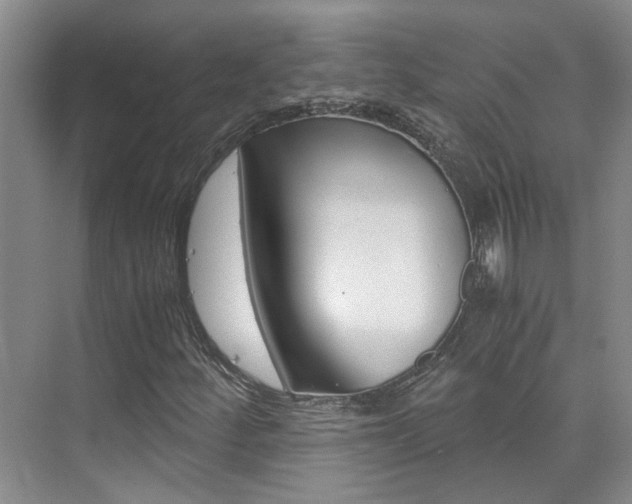 X0000073841252200608101018