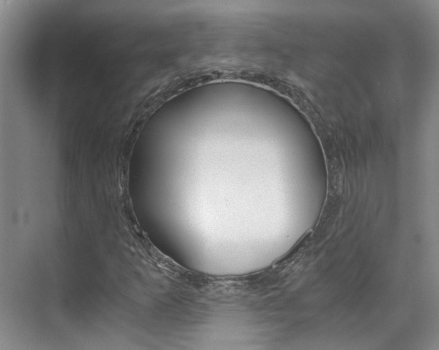 X0000073841253200608101018