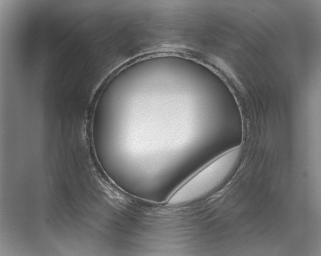 X0000073841260200608101018