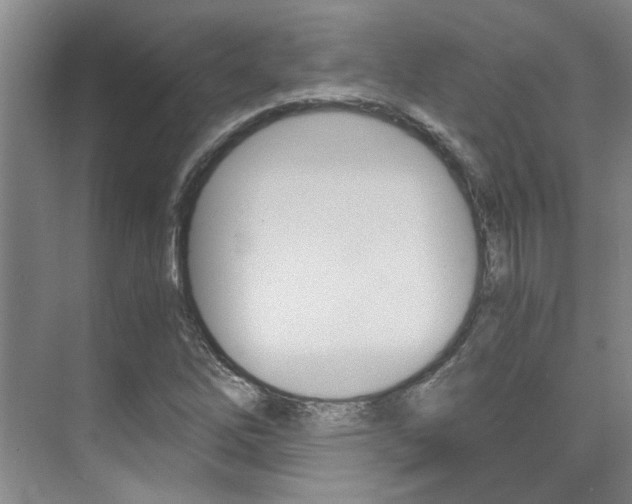 X0000073841262200608101018