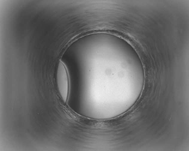 X0000073841265200608101018