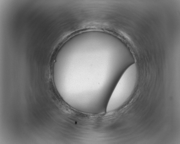 X0000073841267200608101018