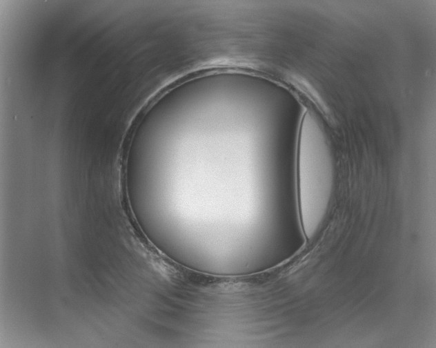 X0000073841268200608101018