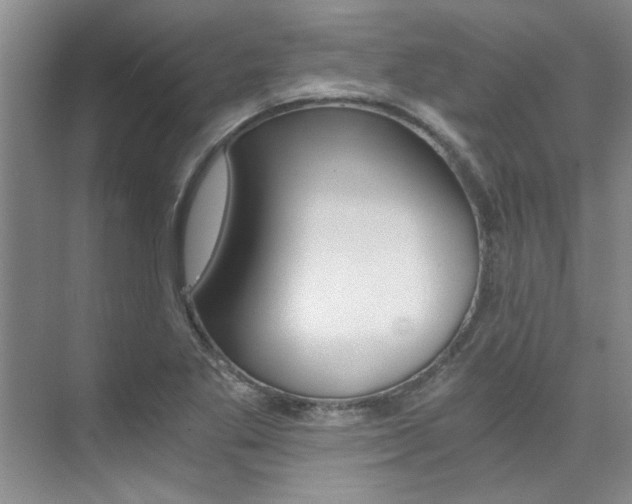 X0000073841269200608101018