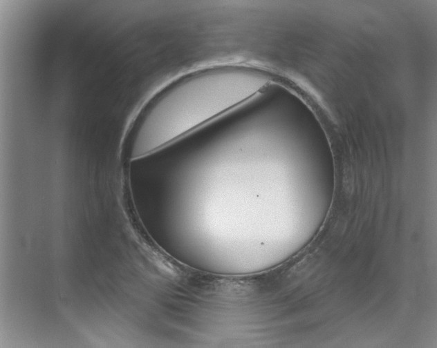 X0000073841270200608101018