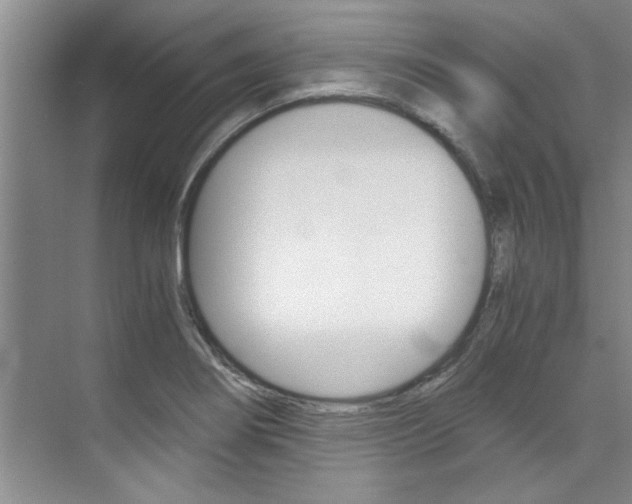 X0000073841274200608101018