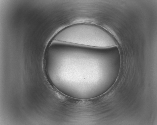 X0000073841277200608101018