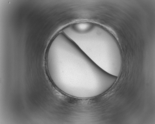 X0000073841279200608101018