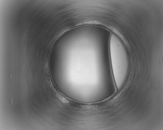 X0000073841281200608101018