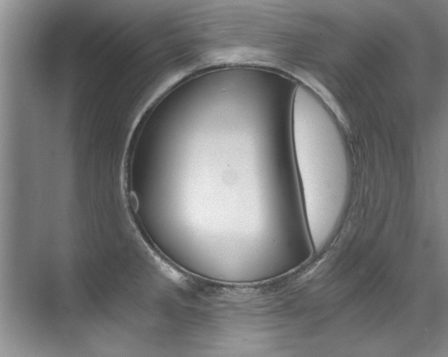 X0000073841285200608101018