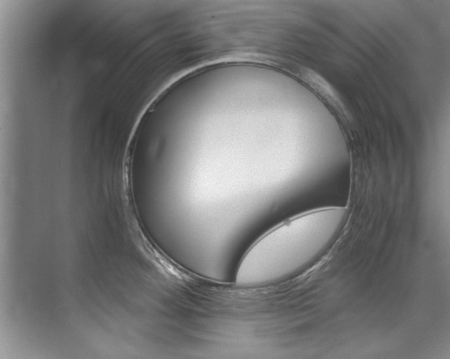 X0000073841292200608101017