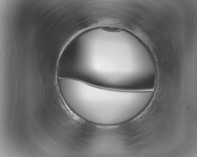 X0000073841296200608101017