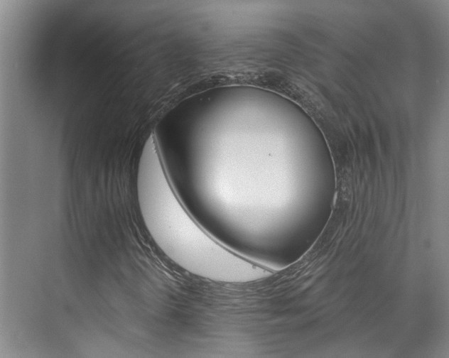 X0000073841298200608101017