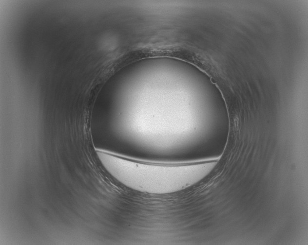 X0000073841300200608101017