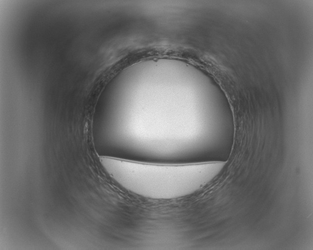 X0000073841302200608101017