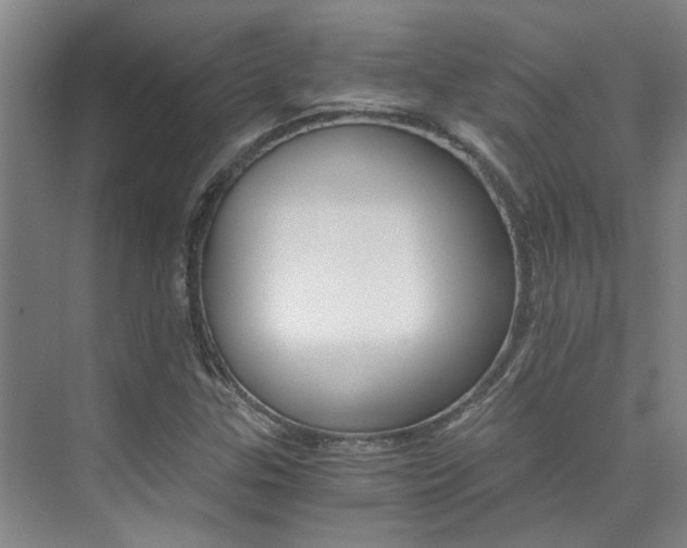 X0000073841307200608101017