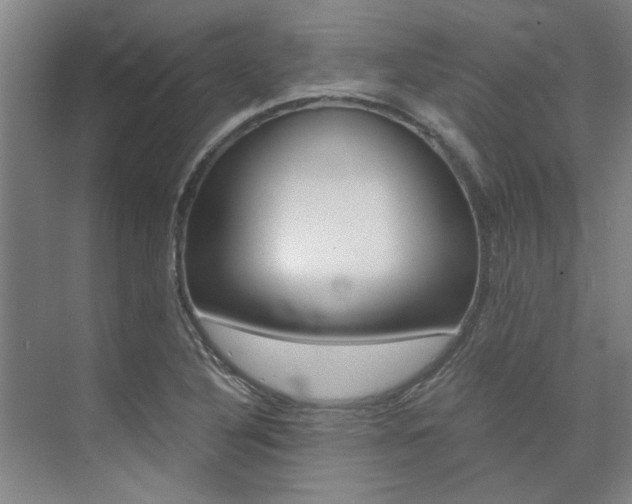 X0000073841316200608101017