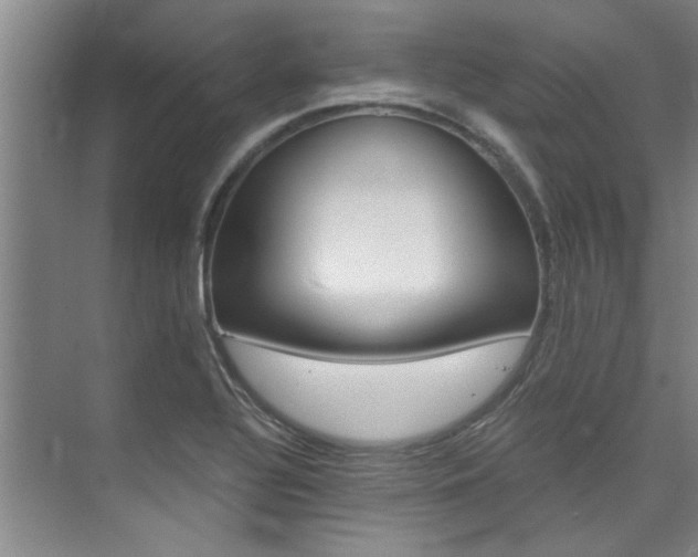 X0000073841320200608101017