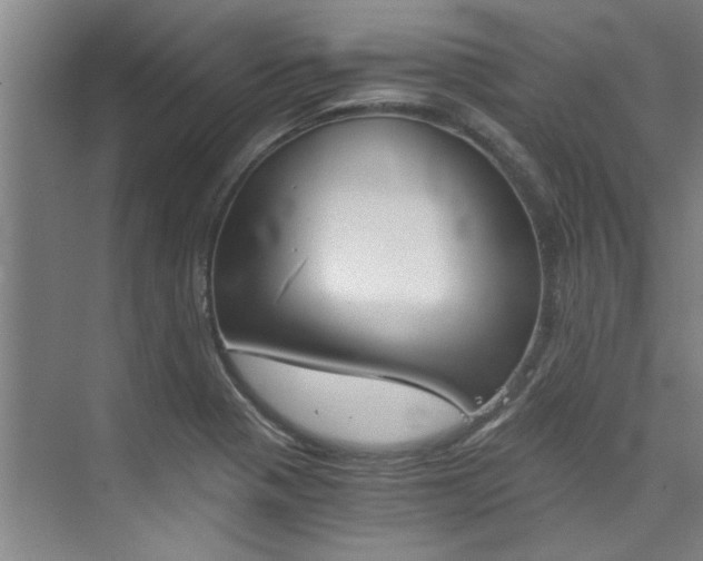 X0000073841321200608101017