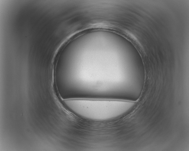 X0000073841323200608101017