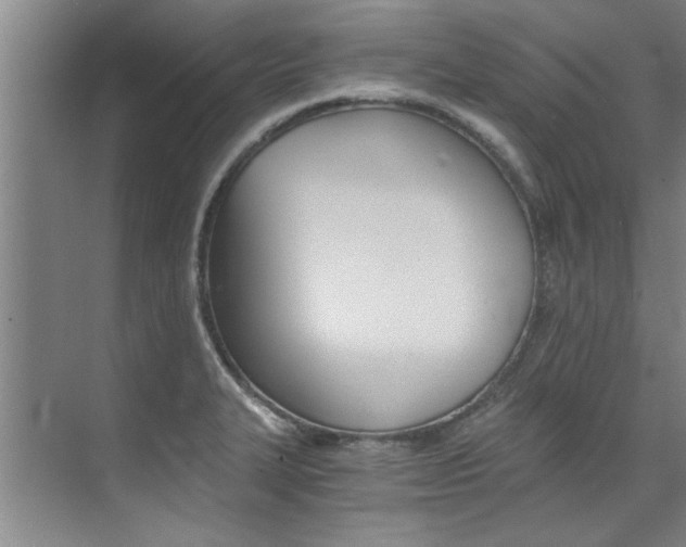 X0000073841327200608101017
