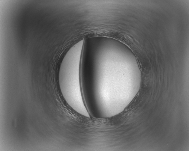 X0000073841345200608101017